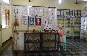 ANATOMY1