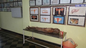 DISSECTION2