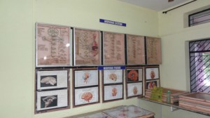 DISSECTION3
