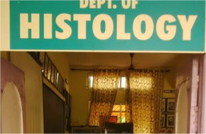 HISTOLOGY