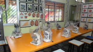 HISTOLOGY4