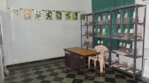 MATERIA MEDICA2
