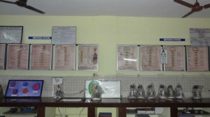 PHYSIOLOGY3